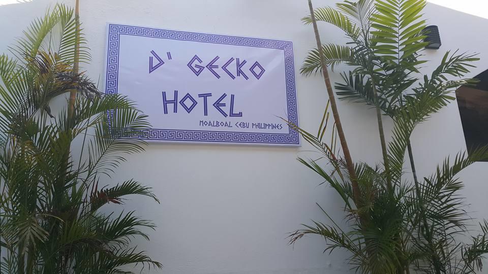 D'Gecko Hotel Moalboal Bagian luar foto